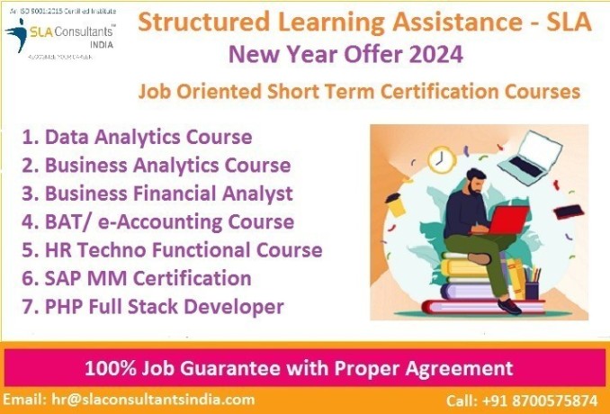 top-accounting-course-program-in-delhi-with-free-sap-finance-by-sla-consultants-100-placement-get-icici-gst-portal-professional-big-0