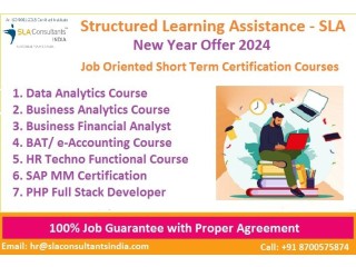 Business Analyst Certification in Delhi, SLA Courses, Chhattarpur, Python and Power BI, [100% Job, Update New Skill in 2024]